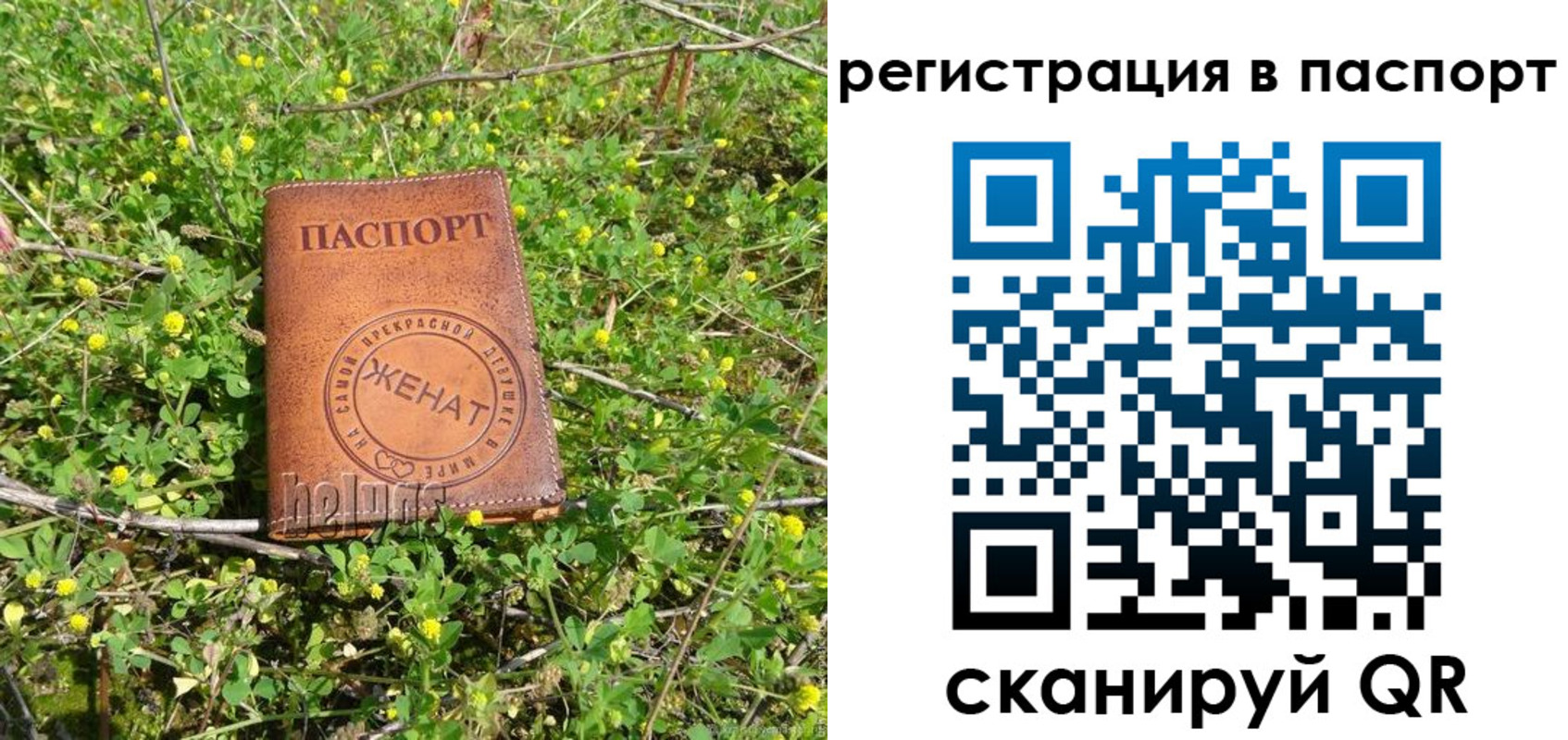 прописка законно в Сосногорске